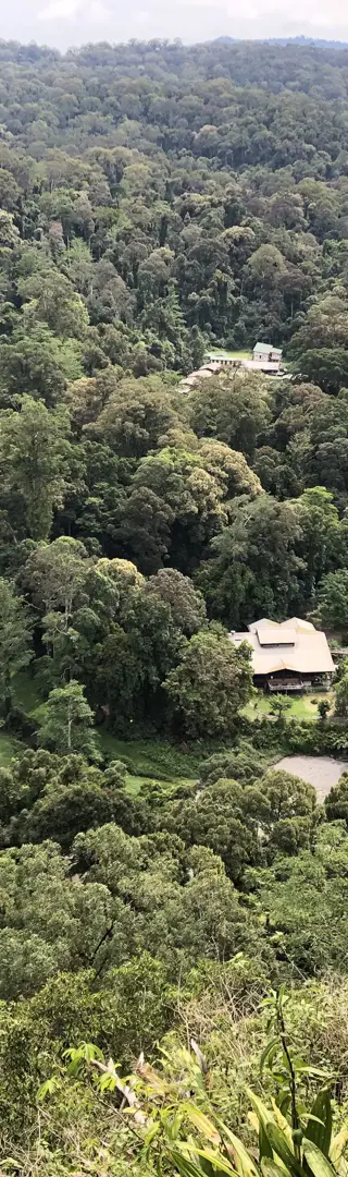 Im Dschungelreservat